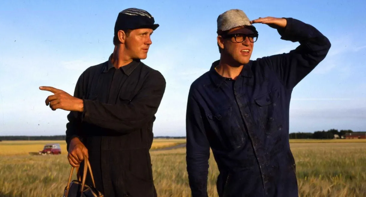 Macken - Roy's & Roger's Bilservice