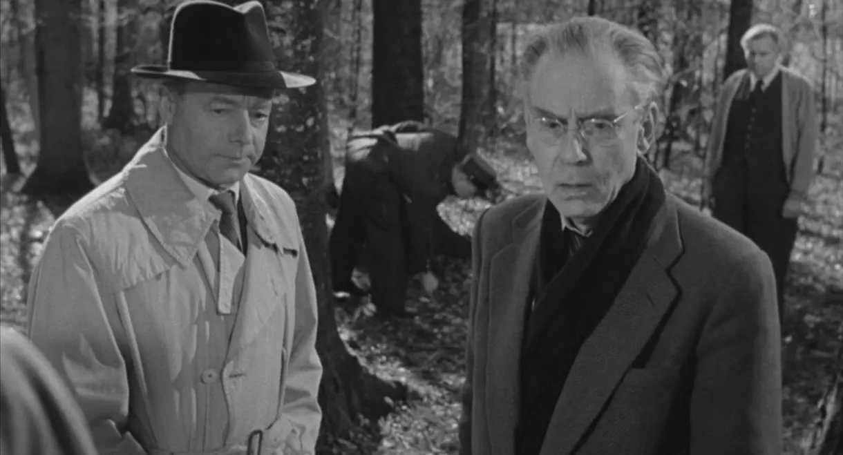 It Happened in Broad Daylight