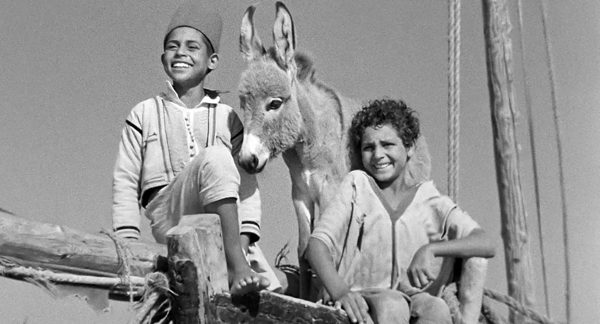 Bim, the Little Donkey