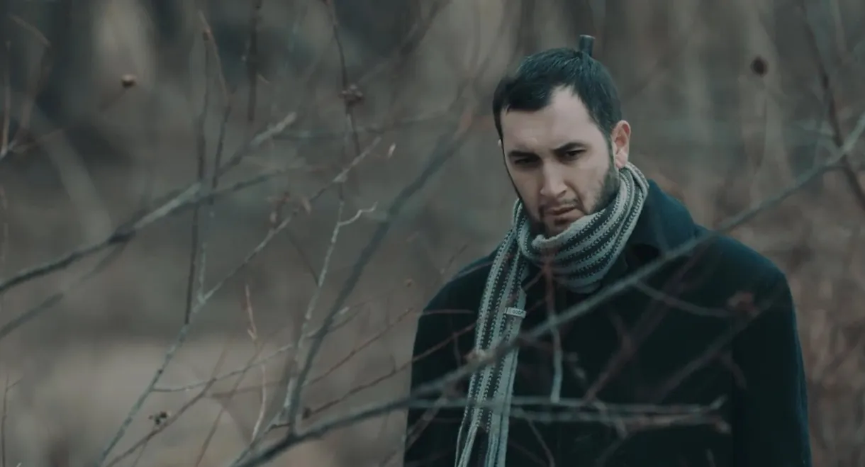 The Gentle Sadness of Things