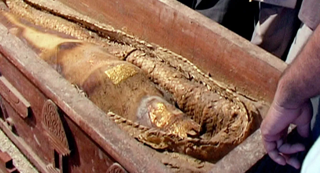 Das Rätsel der Gefälschten Mumie