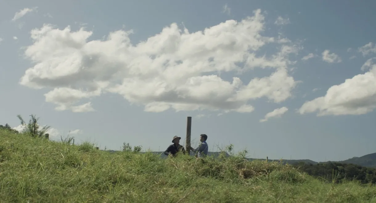 Fences