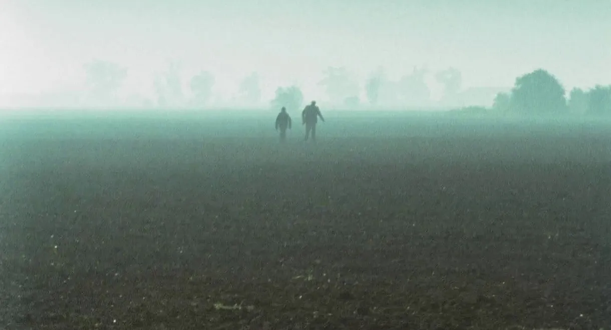 Flying Into the Wind