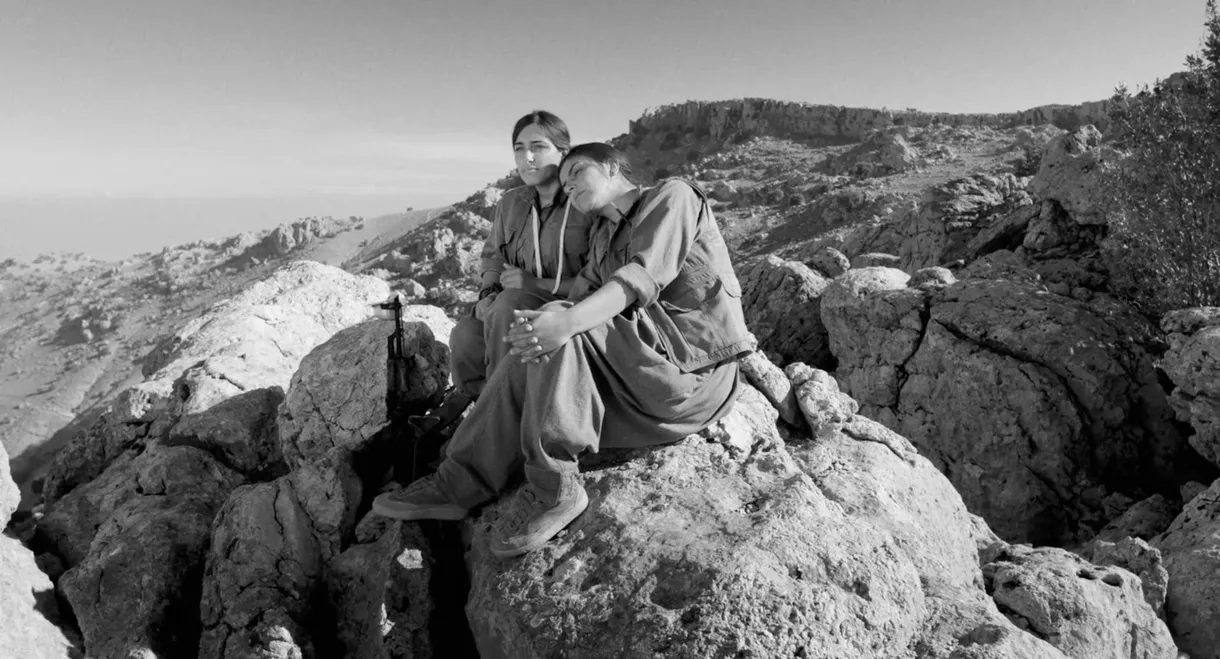 Letters from Shengal