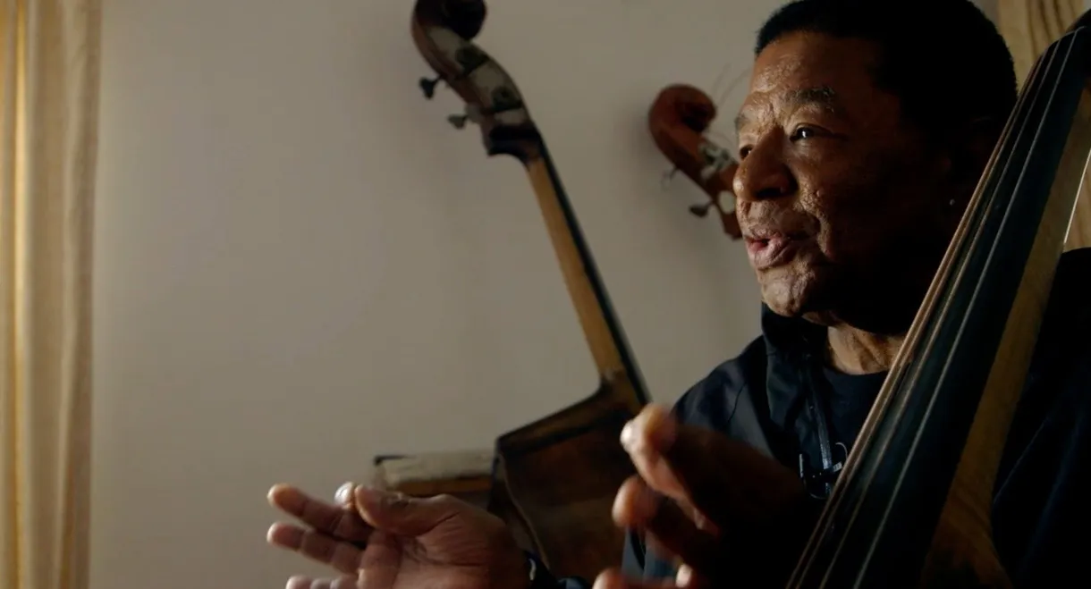 Buster Williams Bass to Infinity