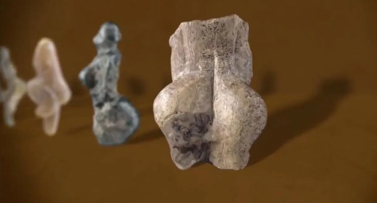 The Hidden Side of the Bottom