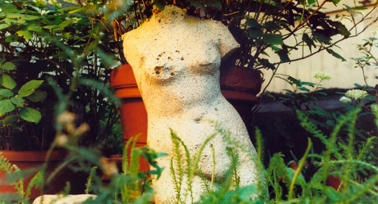 The Odds of Recovery