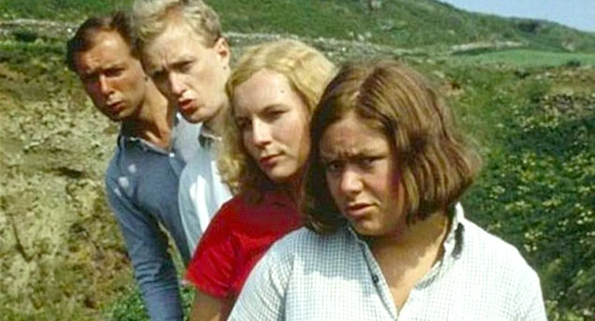 Five Go Mad in Dorset