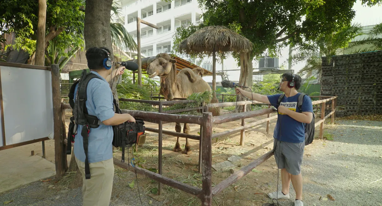 Death of the Sound Man