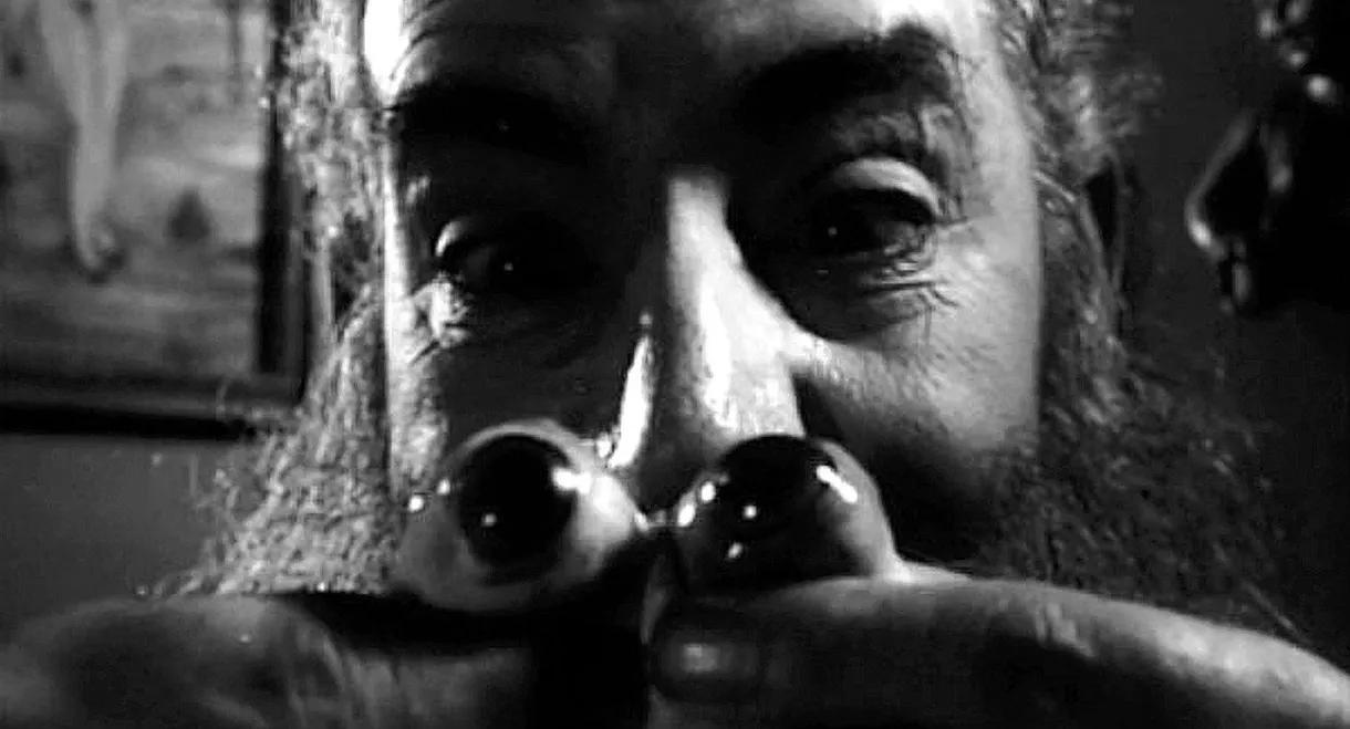 The Strange World of Coffin Joe