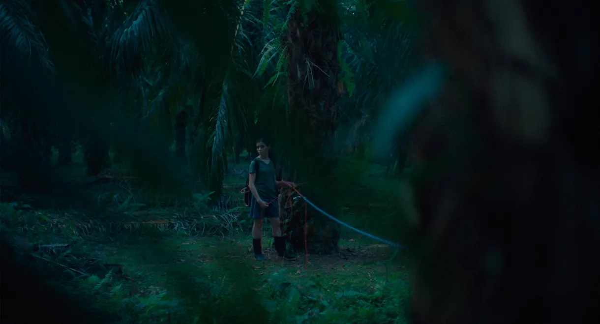 If We Don't Burn, How Do We Light Up the Night