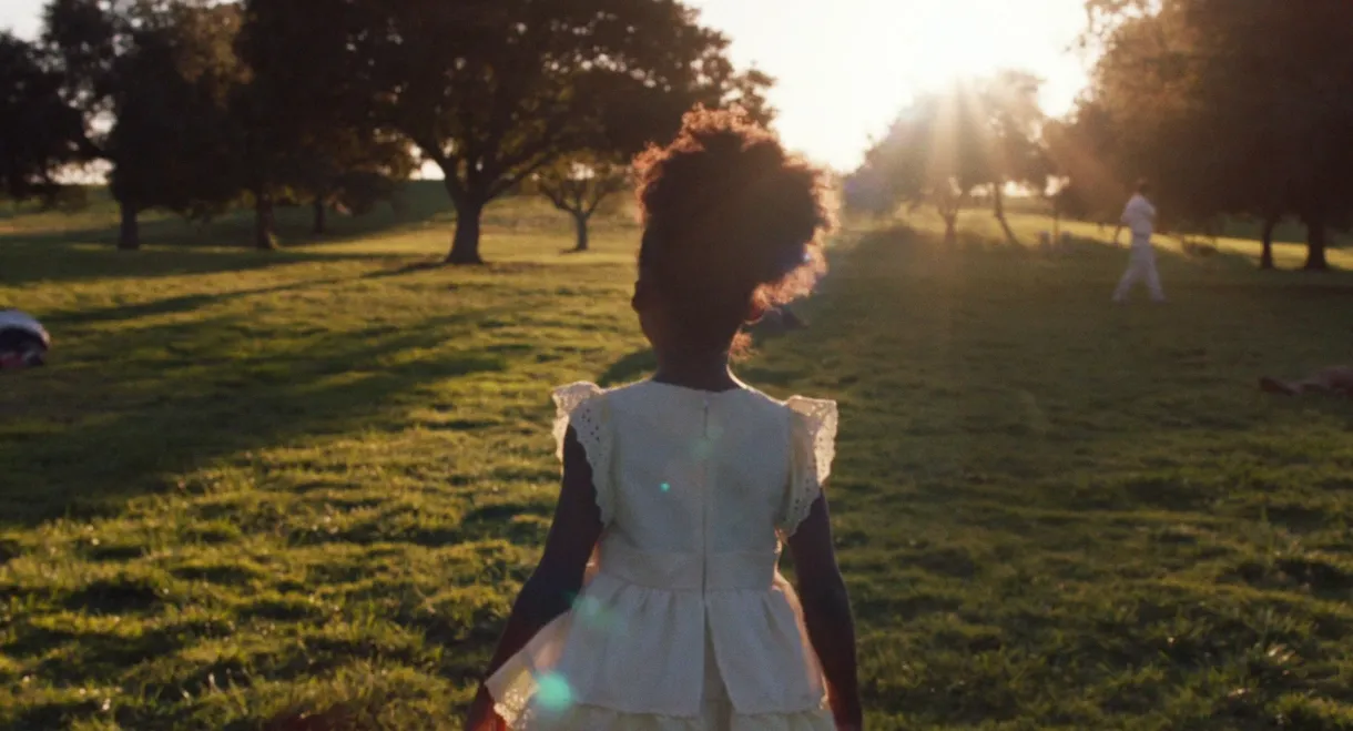 They Charge for the Sun