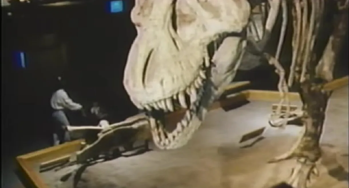 The Real Jurassic Park