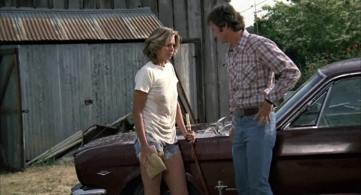 Black Oak Conspiracy