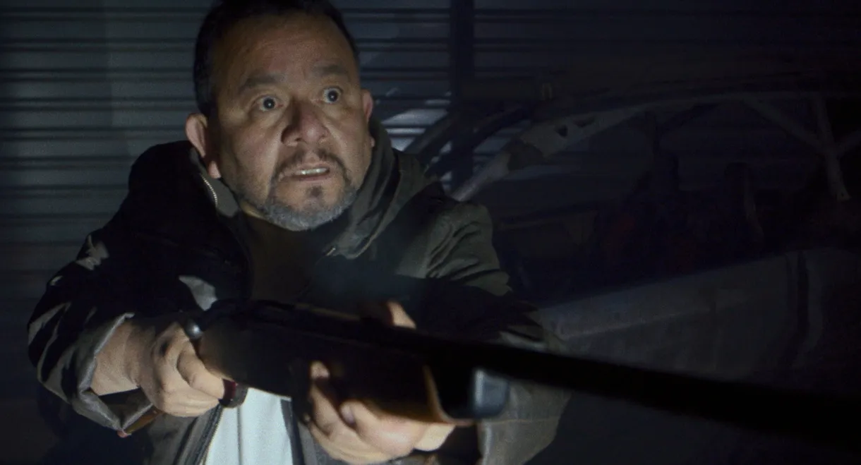 Los gorriones vuelan de noche