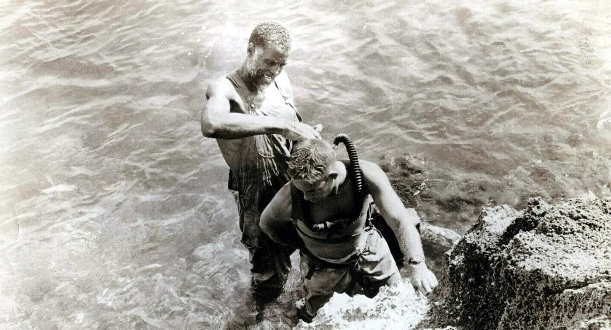 The Secret of the Purple Reef