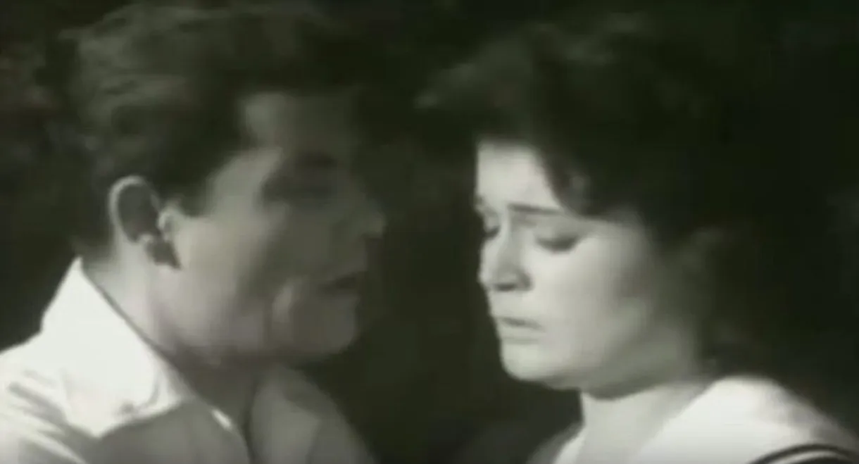 Bufakkar filli nassini