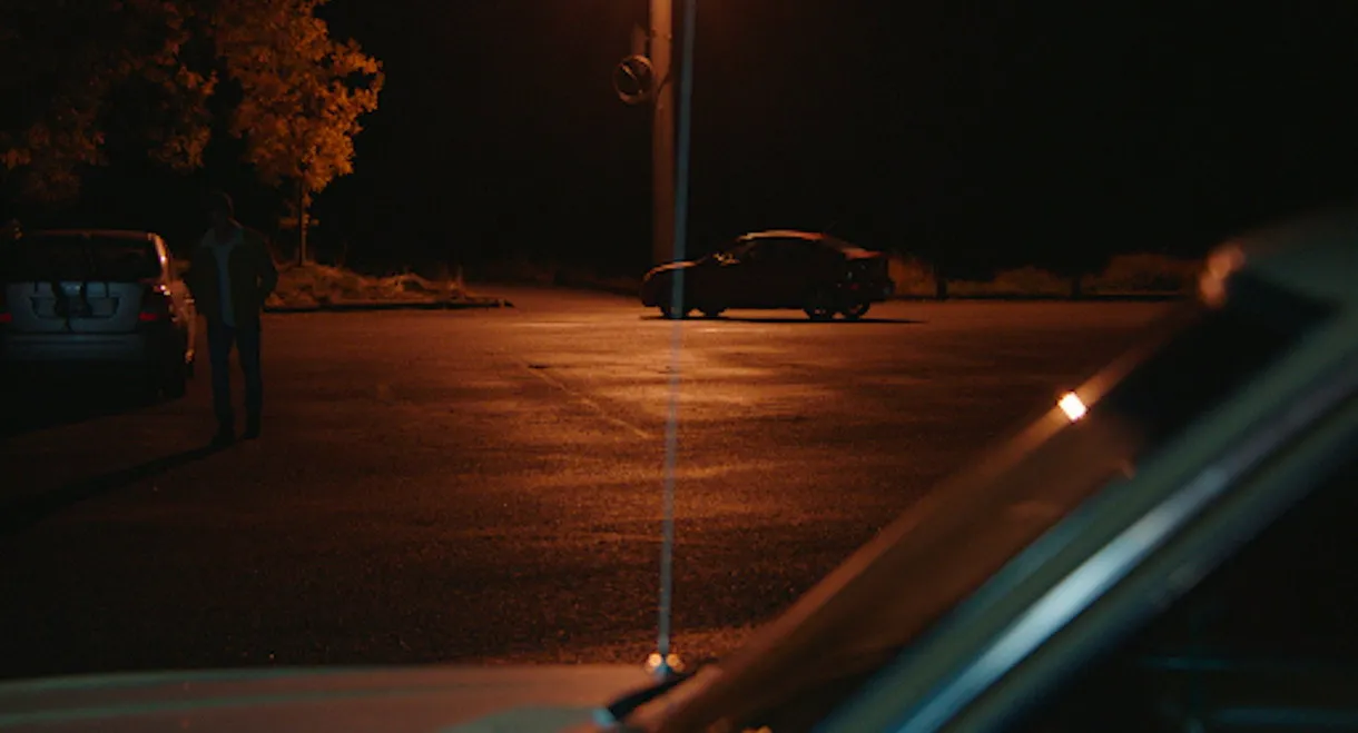 Letting Loose the Hounds