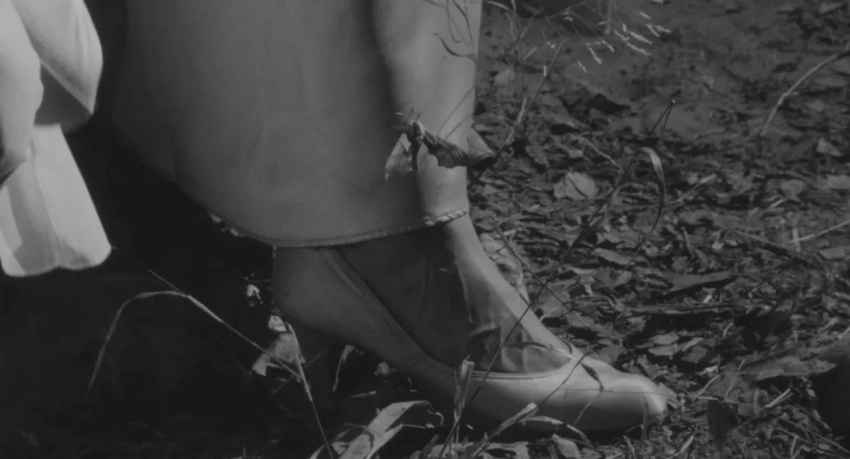 The Toadman of Topanga