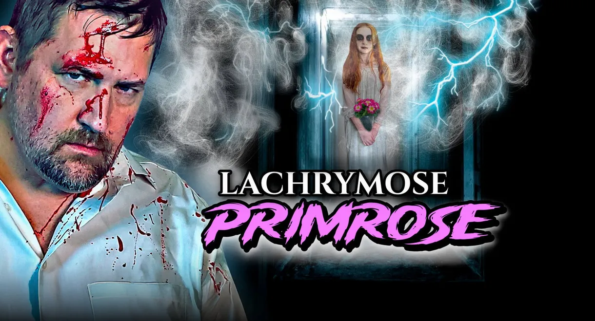 Lachrymose Primrose