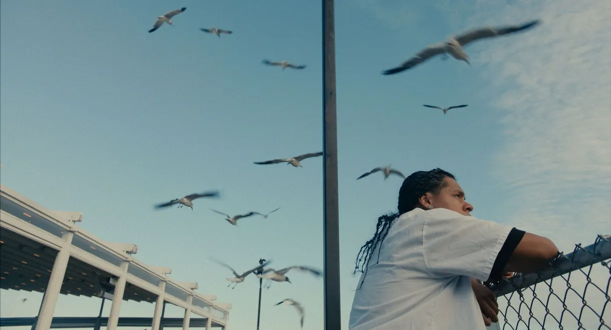 Mad Bills to Pay (or Destiny, dile que no soy malo)