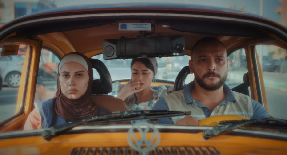 The Inevitable Journey to Find a Wedding Dress