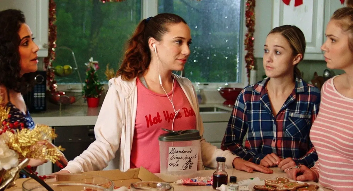 Four Cousins and a Christmas