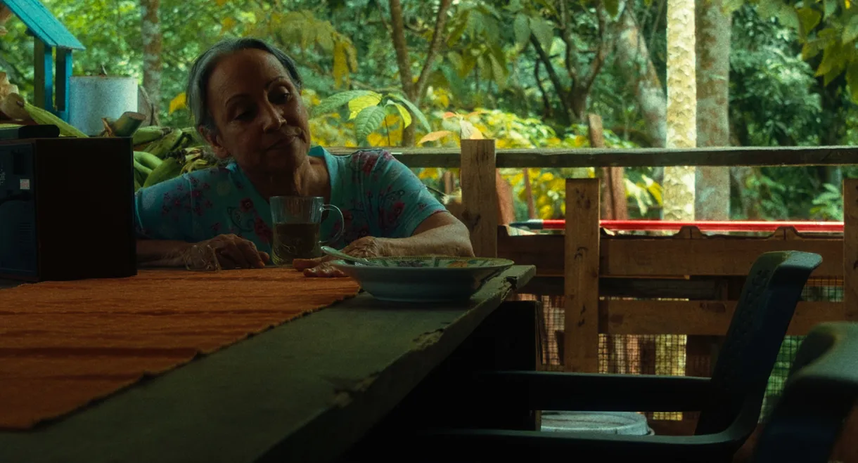 Como Cantan Las Aves