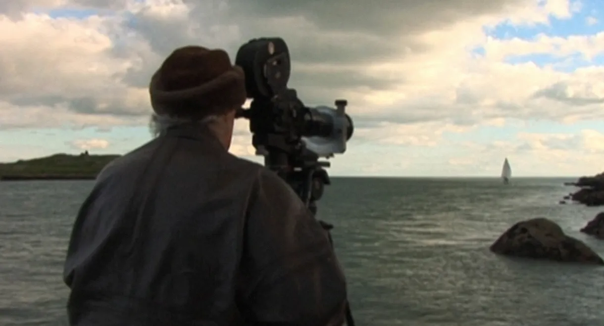 Waiting for the Light