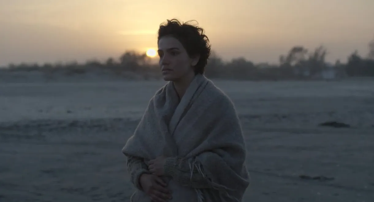 The Miracle of Tekir