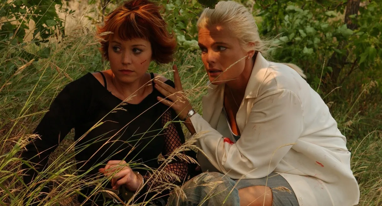 Caught in the Headlights