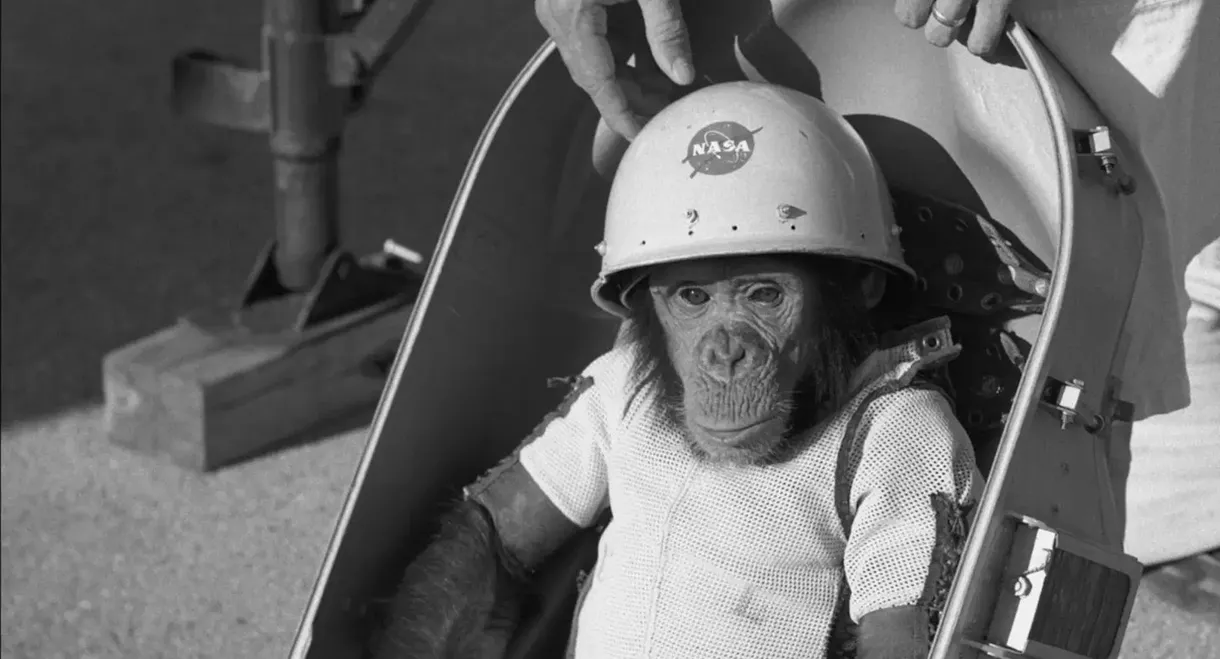 One Small Step: The Story of the Space Chimps
