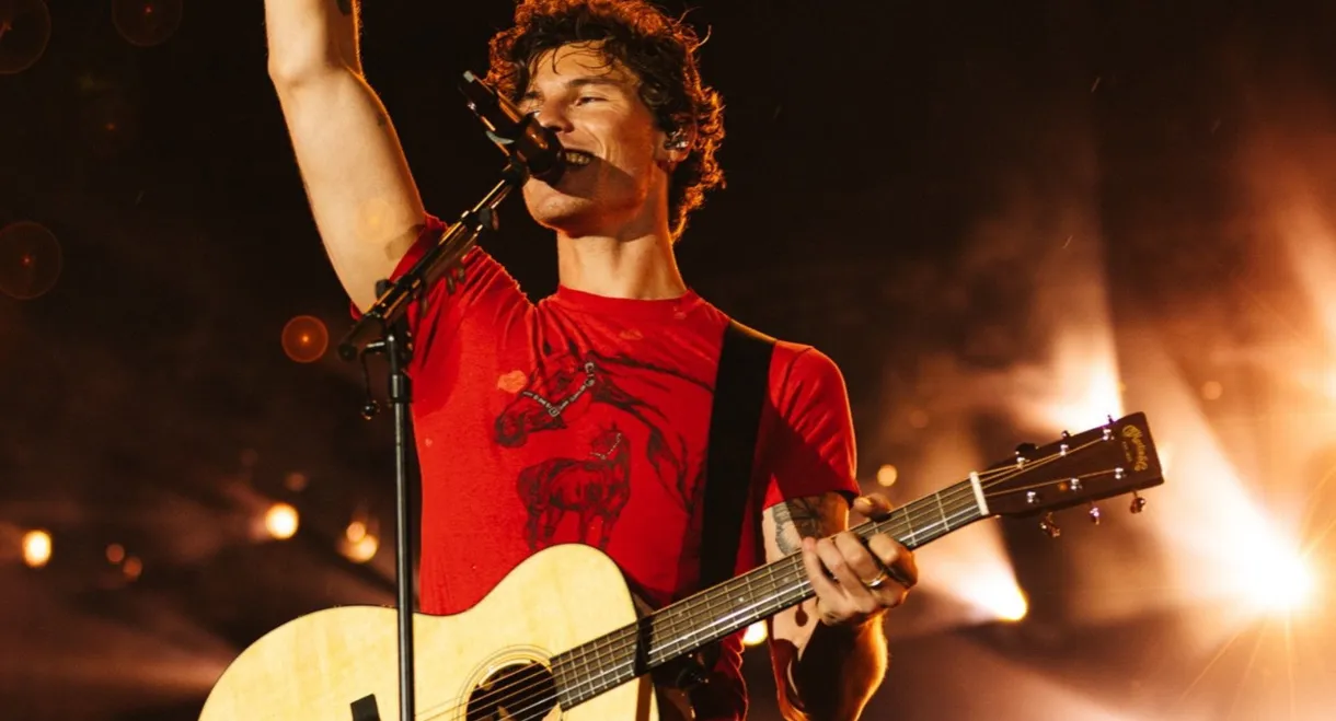 Shawn Mendes: Lollapalooza Argentina 2025