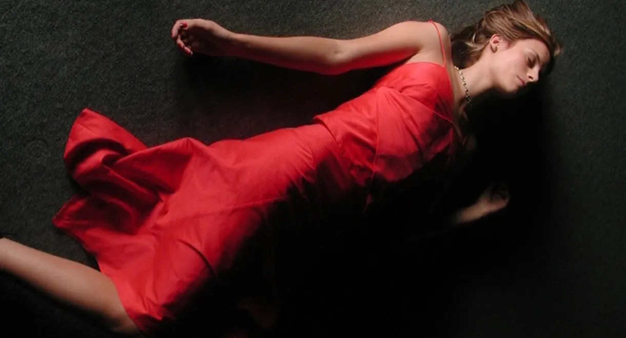 The Girl in the Mirror