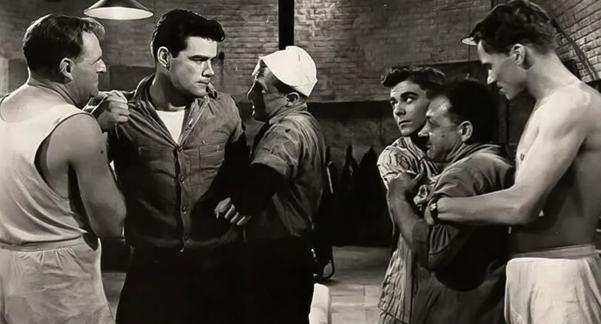 Seagulls Over Sorrento