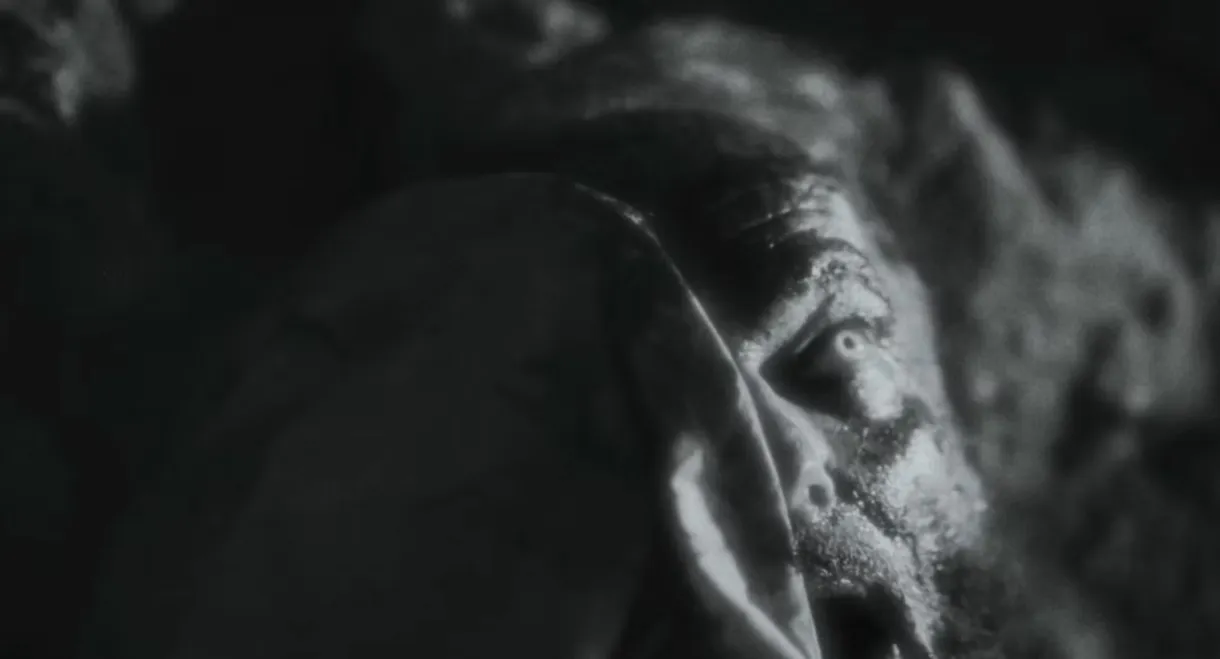 White Gardenia: The King James Bible