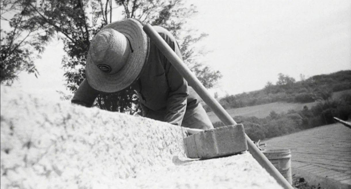 INTERVENTIONS AND INTERFERENCES