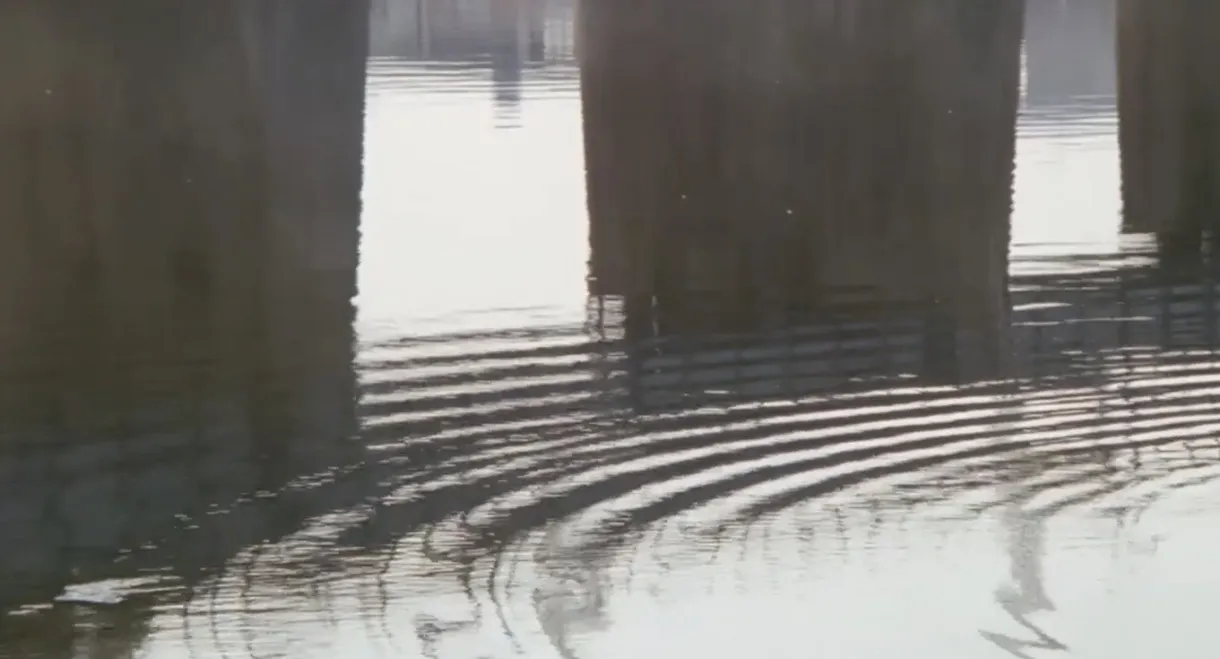 Ginza Neon District: A Woman's Climax