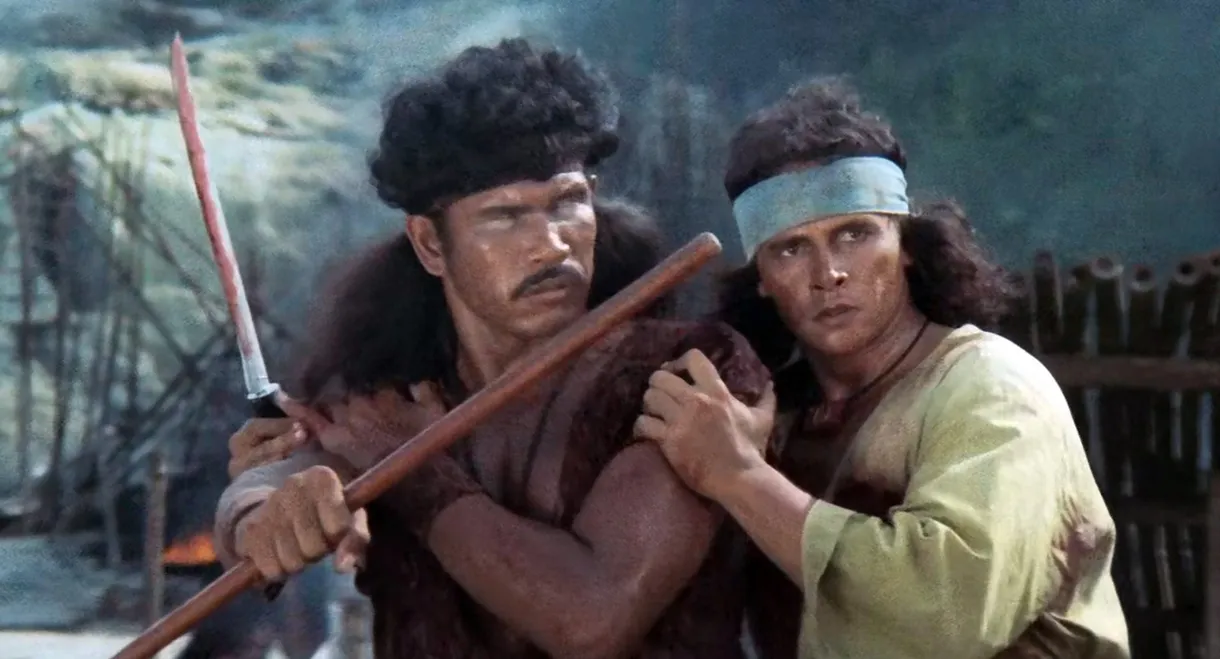 The Warrior and The Blind Swordsman