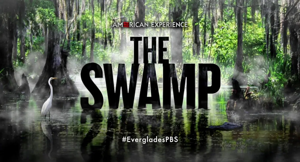 The Swamp