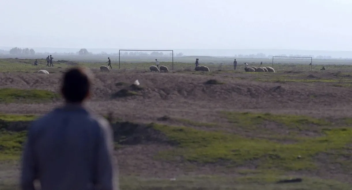 Reporting from Darkness