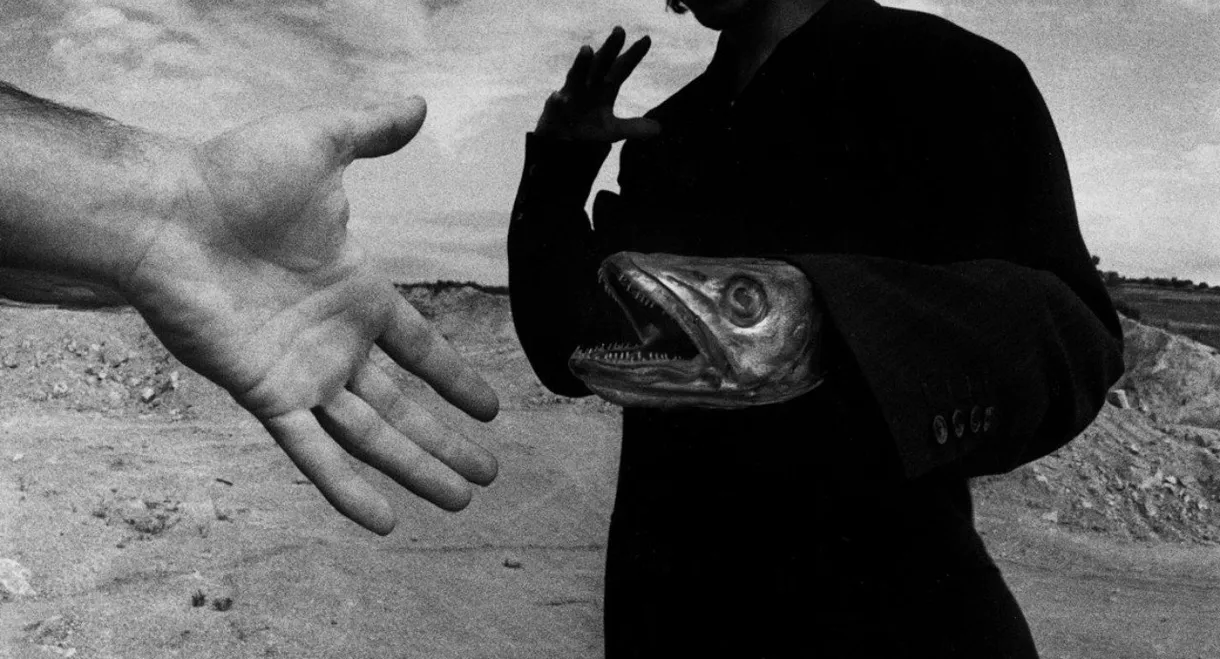 One Minute for One Image