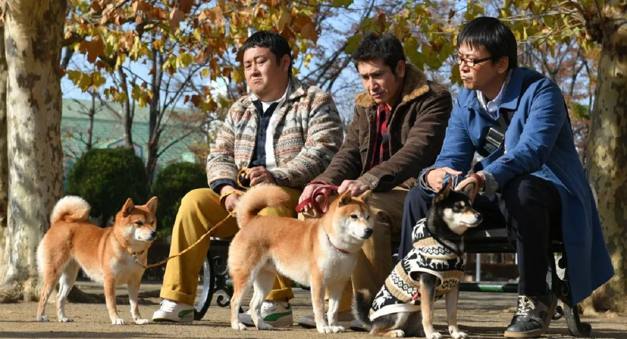 Shiba Park