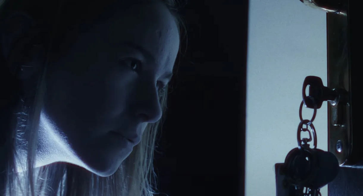In The Shadows