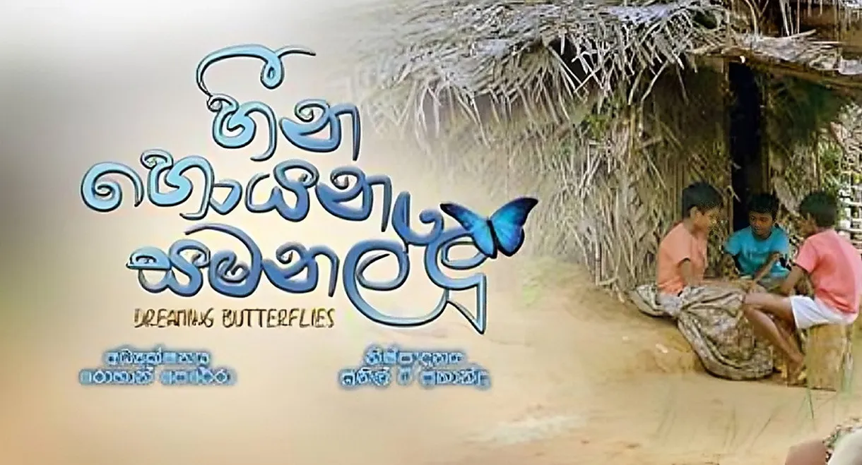 Dreaming Butterflies