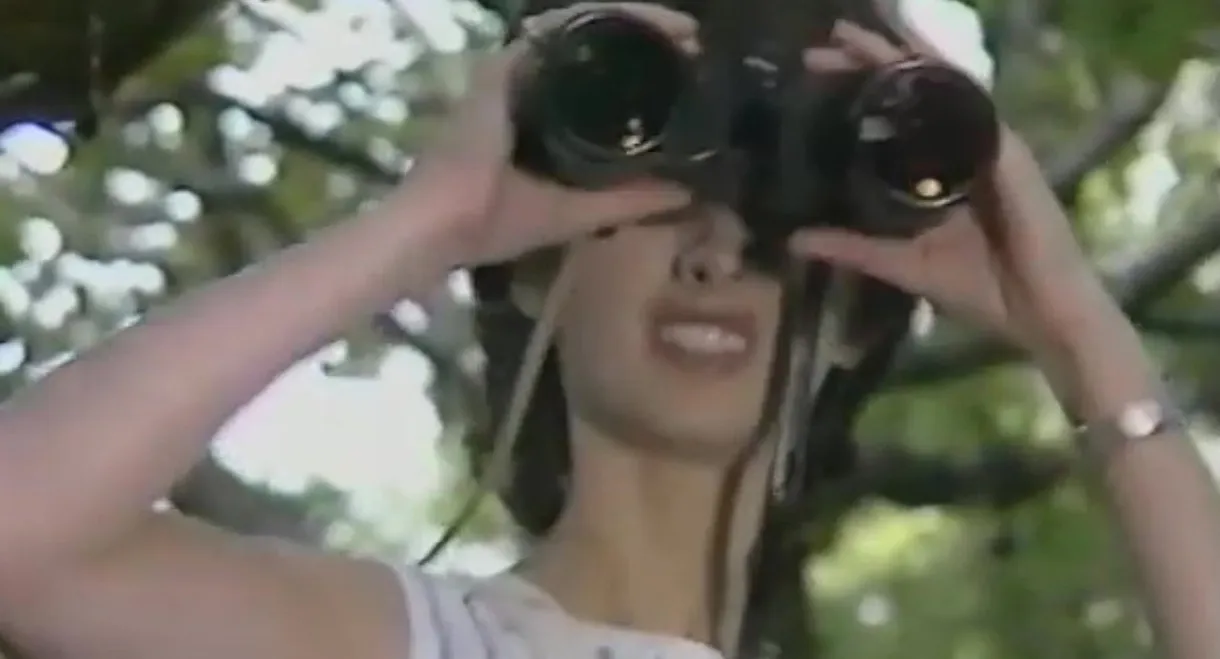 S.O.S. Galw Gari Tryfan