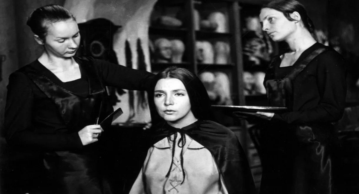 The Gift of the Magi