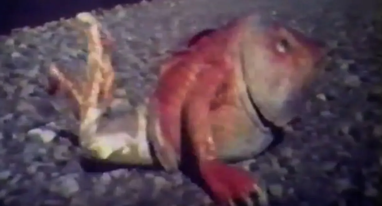 Legend of Heavenly Mother Ma-Tsu