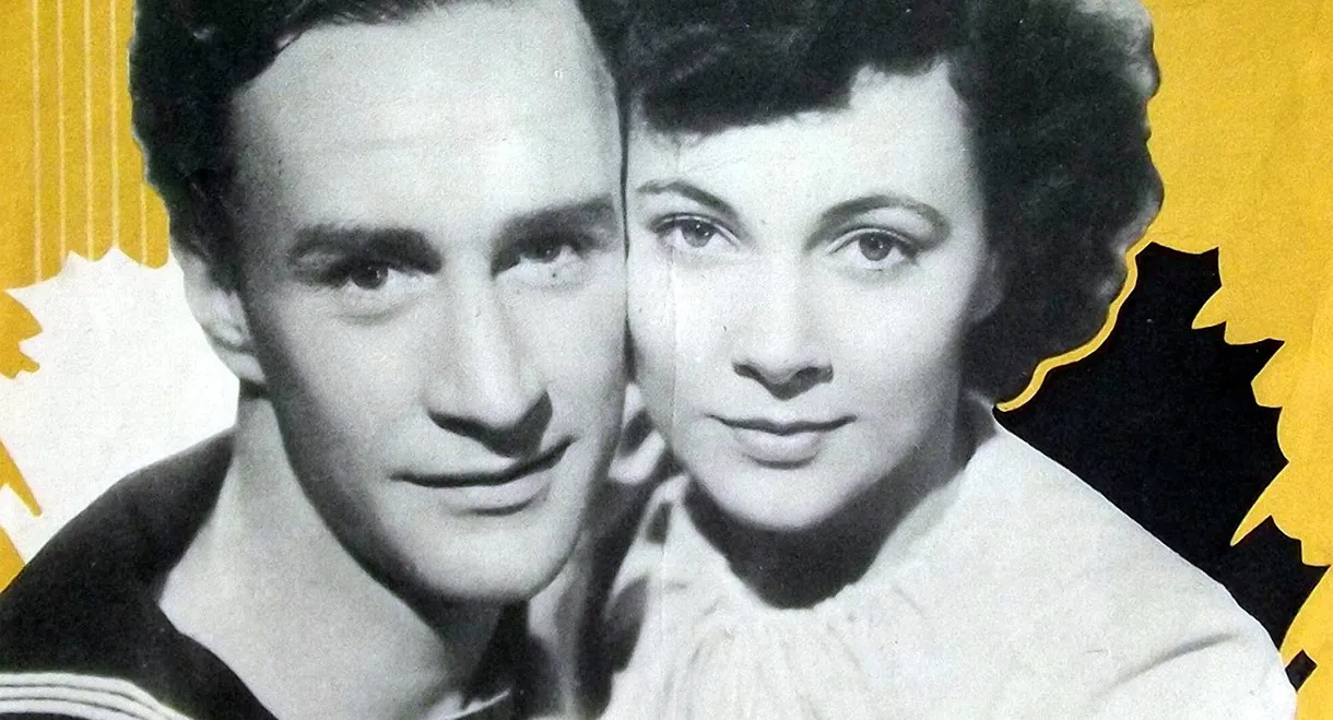 While the Sun Shines