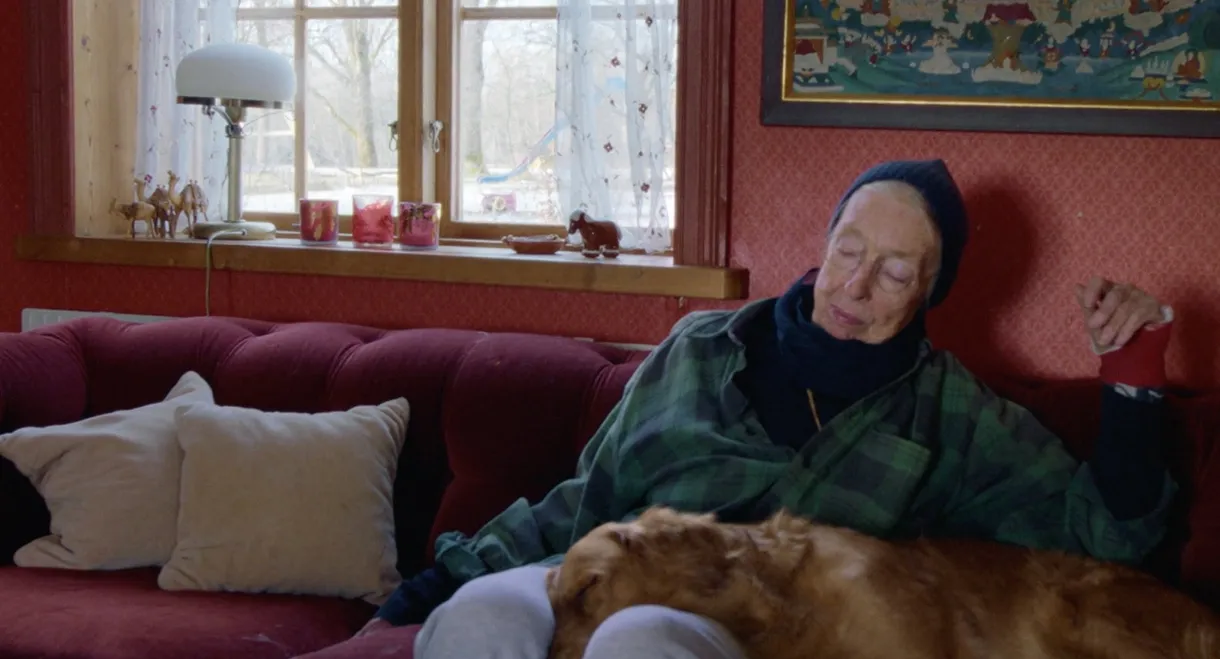 Nina Hedenius - ett ögonblick i sänder